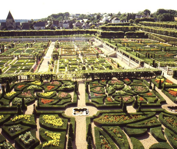 Il magnifico giardino del castello di Villandry